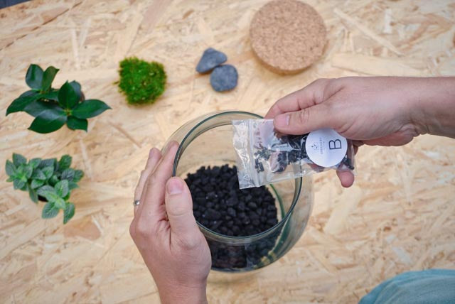 Flaschengarten erstellen Minipflanzen Pflanzen im Glas