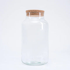 Flaschengarten Glas – Perfekte Gefäße für Ihr DIY Biotop - Greenery Living