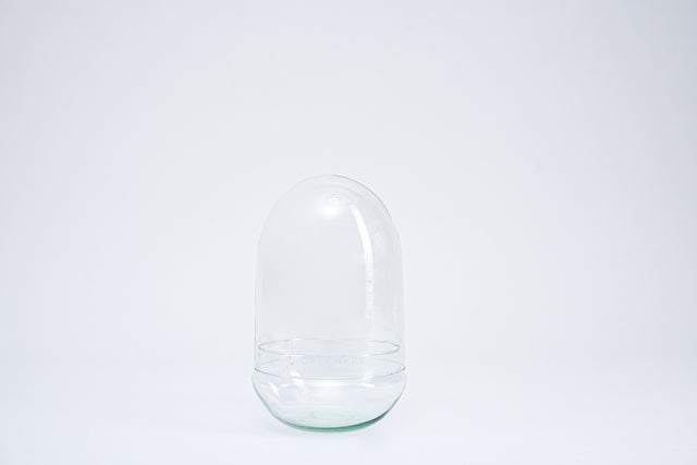 Flaschengarten Glass EGG - Greenery Living