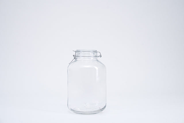 GreeneryLiving_Flaschengarten-Glas 