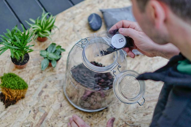 Flaschengarten erstellen Minipflanzen Pflanzen im Glas 