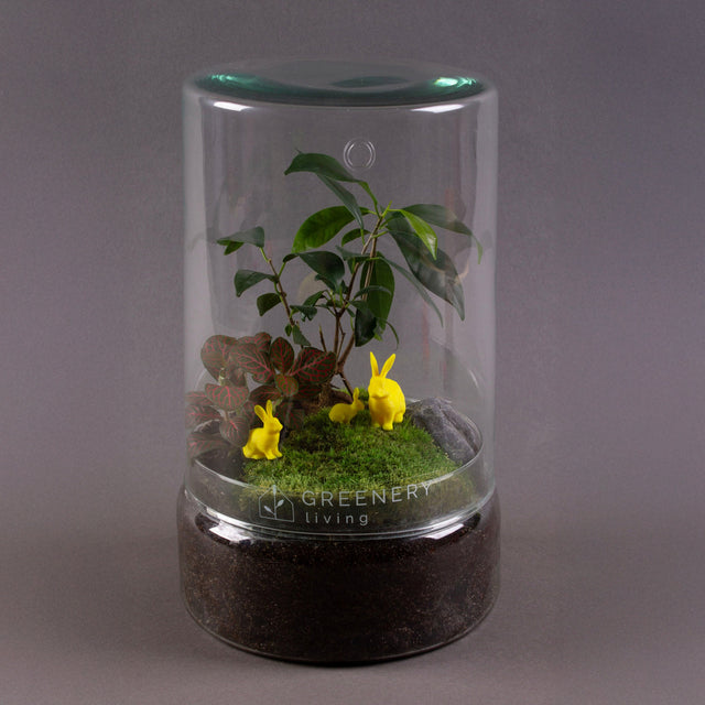 Gelbe Osterhasen in Flaschengarten von Greenery Living