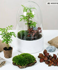 Premium Flaschengarten CERA - Serie (weiß, Dome) DIY - Set - Greenery Living